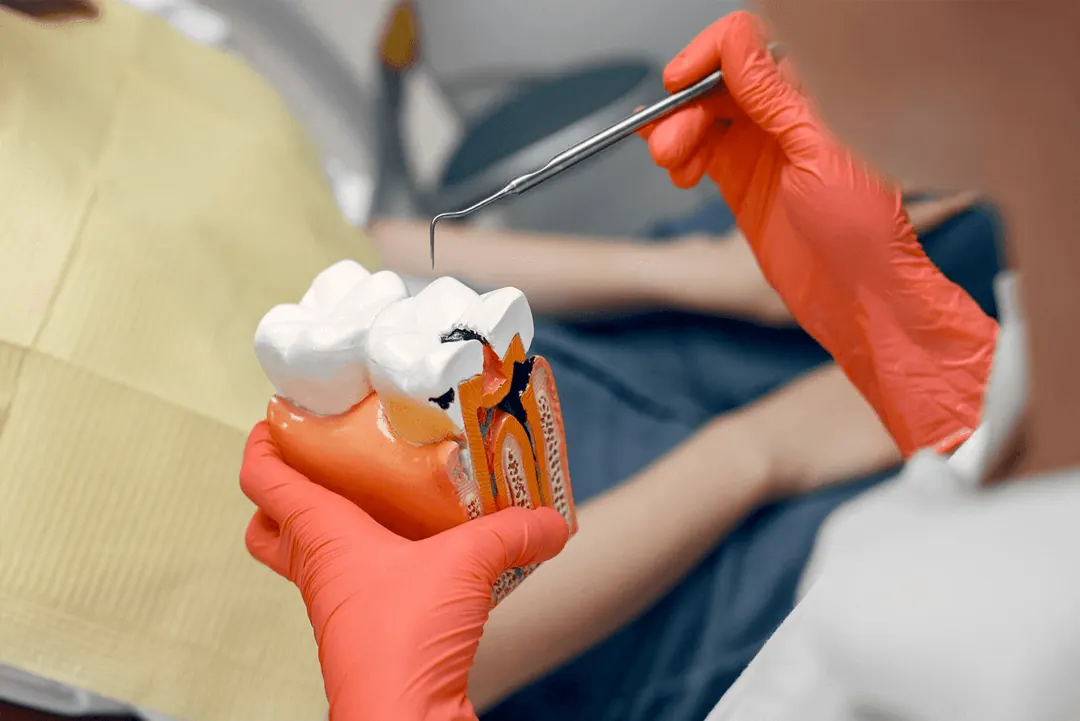 Dentist performing a root canal